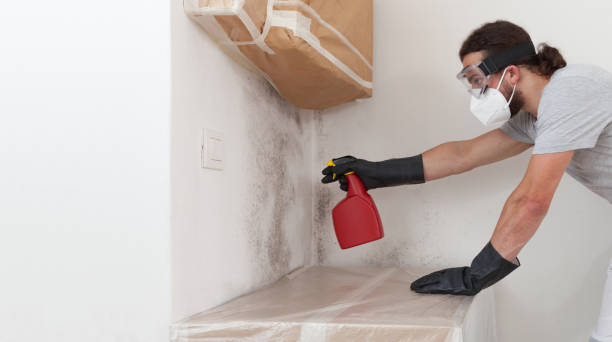 Professional Commercial Mold Remediation technician working in Mercer Island, WA