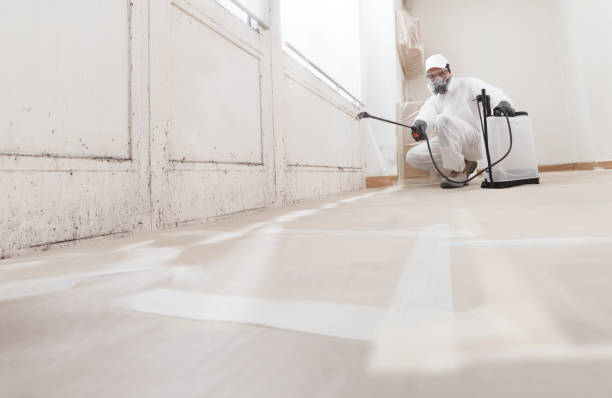 24/7 Emergency Commercial Mold Remediation experts in Mercer Island, WA