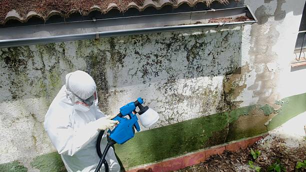 Top rated local Commercial Mold Remediation specialists in Mercer Island, WA
